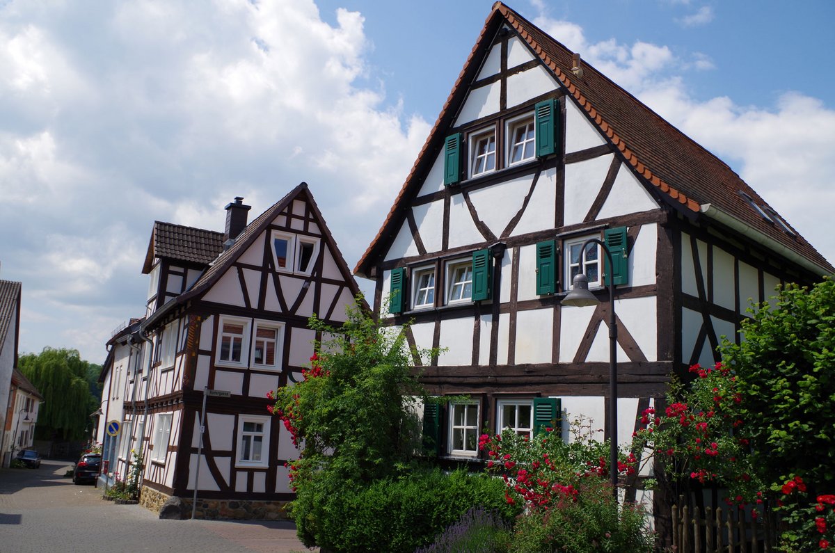 Traditionelle Fachwerkhäuser in Bad Nauheim-Steinfurth mit grünen Fensterläden, rotem Ziegeldach und blühenden Rosen im Vorgarten.